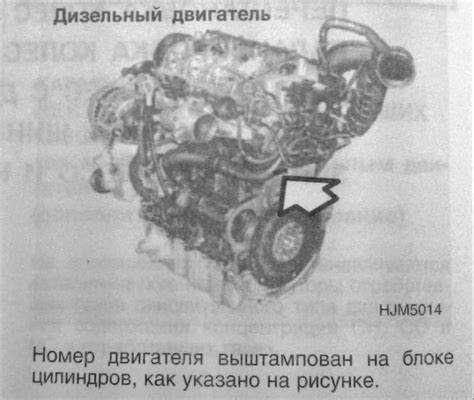 Советы по очистке и подготовке места для поиска