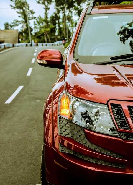 Практические советы по эксплуатации и уходу за Mitsubishi Lancer 2002