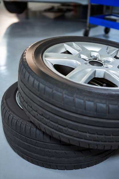 Выбор и установка рапида на шинах 205/55 R16