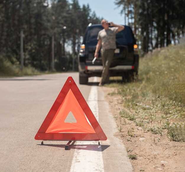 Тактика поведения в условиях плохой видимости и обледенения