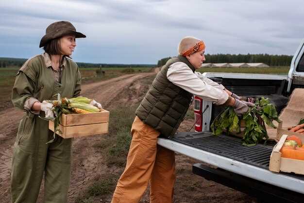 Снятие колеса и демонтаж защитных кожухов